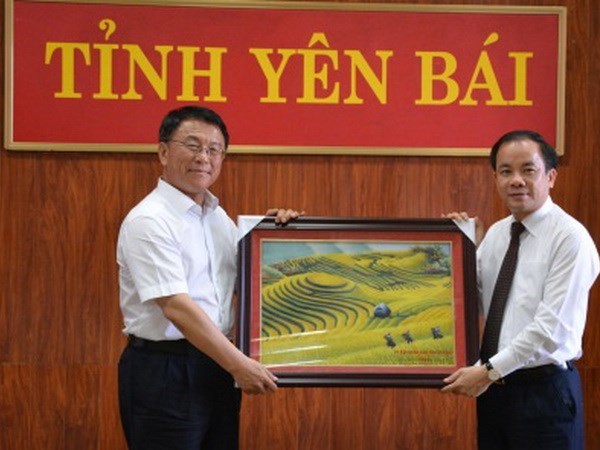 越南与中国加强民族工作领域的合作 hinh anh 1