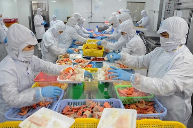 进口自越南虾类占韩国虾类进口量50% hinh anh 1