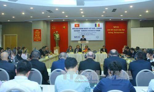 越南—罗马尼亚企业论坛在河内举行 hinh anh 1