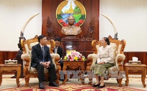 老挝国会主席巴妮·雅陶都高度评价越南国会所提供的帮助 hinh anh 1