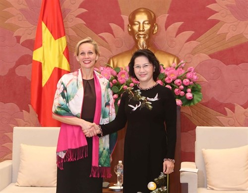 越南国会主席阮氏金银会见丹麦和瑞典驻越南大使 hinh anh 2