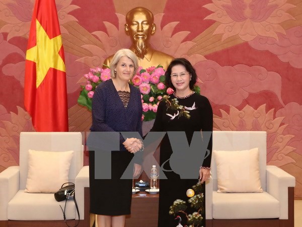 越南国会主席阮氏金银会见丹麦和瑞典驻越南大使 hinh anh 1