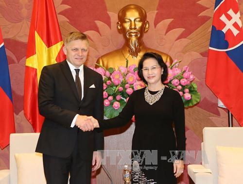 斯洛伐克总理罗伯特·菲乔圆满结束对越南的正式访问 hinh anh 4