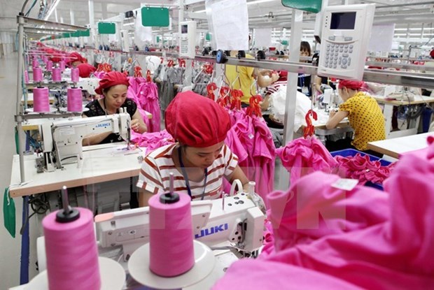 墨西哥考察越南纺织业 hinh anh 1