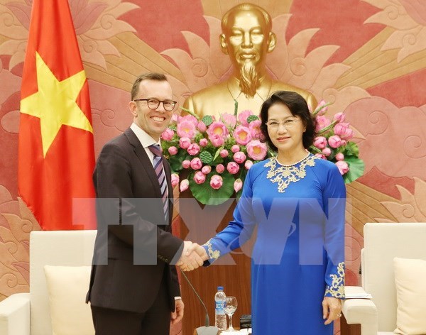 越南国会主席阮氏金银会见新西兰和菲律宾驻越大使 hinh anh 1