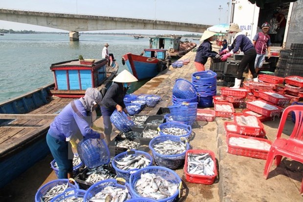 越南水产加工出口协会要求台塑集团对越南中部水产出口企业负起责任 hinh anh 1