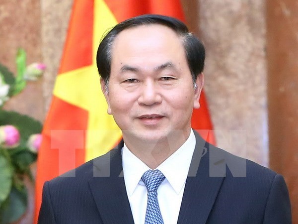 国家主席陈大光：越南一直支持法国积极和建设性的作用 hinh anh 1