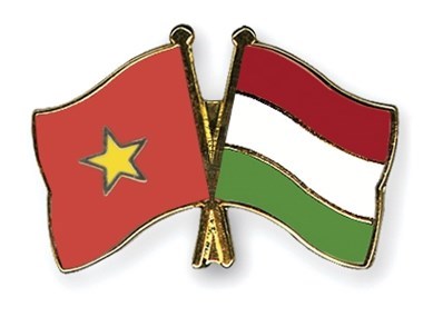 越南—匈牙利友谊交流会在河内举行 hinh anh 1