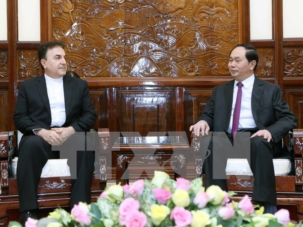 国家主席陈大光会见伊朗驻越南大使萨利赫•艾迪比 hinh anh 1