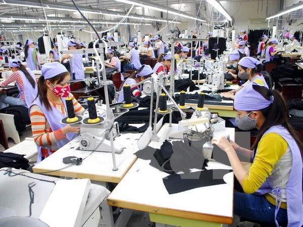 世行：在全球经济增长缓慢的背景下越南经济依然保持弹性 hinh anh 1