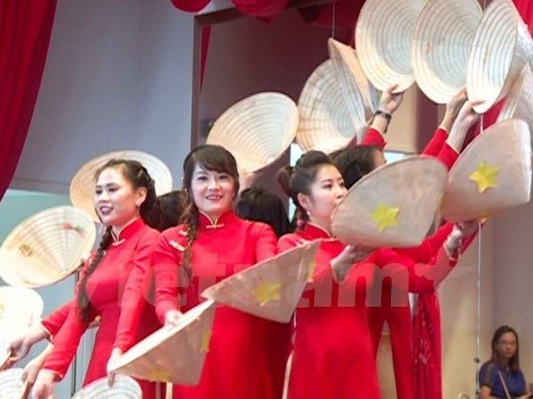 越南驻莫桑比克大使馆举办越南妇女节庆祝活动 hinh anh 1