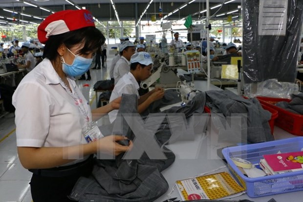 《越欧自贸协定》生效后欧盟将对越南取消5000个进口税目 hinh anh 1