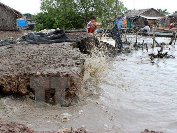 联合国粮农组织：气候变化对越南造成严重影响 hinh anh 1