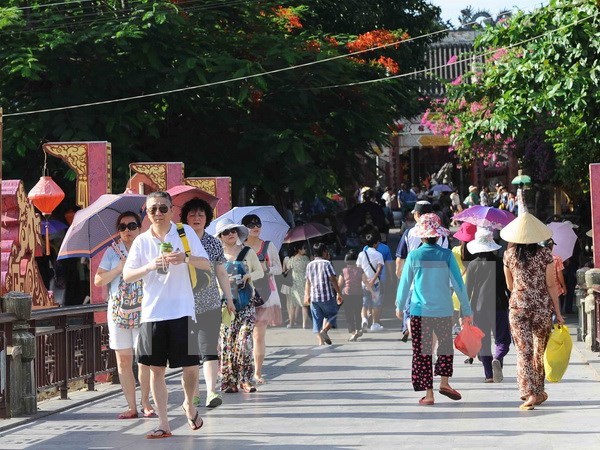 2016年前10月越南接待国际游客超过800万人次 hinh anh 1