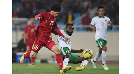 国际足球友谊赛：越南队主场3-2反超击败印尼队 hinh anh 1