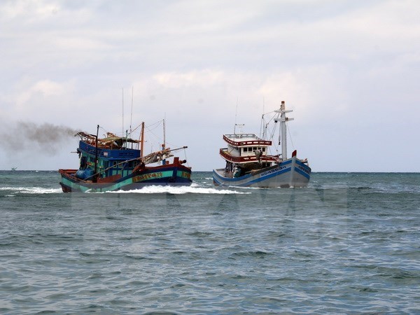 海警第三区司令部营救11名遇险渔民 hinh anh 1