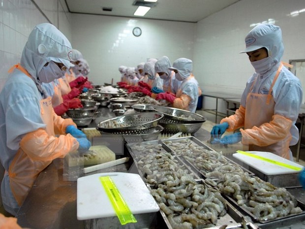2016年越南虾类产品对美国出口将有所起色 hinh anh 1