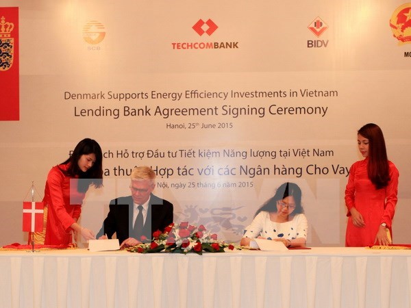 越南与丹麦签署2016年共同行动计划 hinh anh 1
