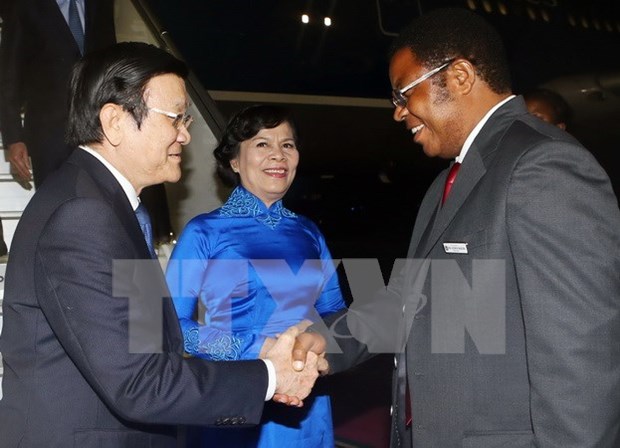 张晋创主席访问坦桑尼亚助推两国关系迈上新台阶 hinh anh 1