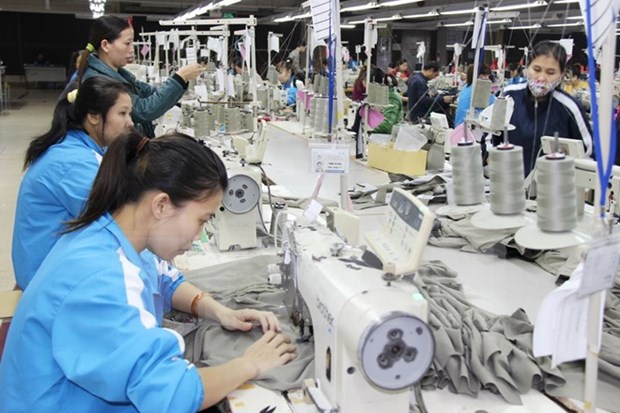 TPP：越南女企业家和女劳动者的机会与挑战 hinh anh 1