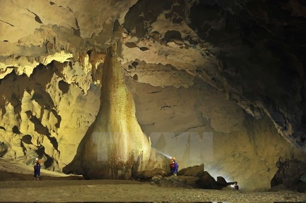越南广平省在14个不同地区发现57个洞穴 hinh anh 1