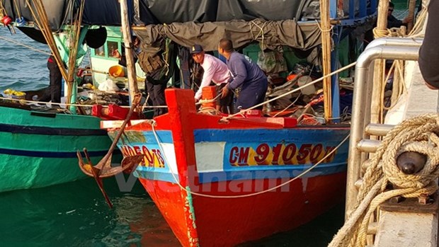 越南一直努力采取措施协助渔民坚持在越南传统渔场进行捕捞作业 hinh anh 1