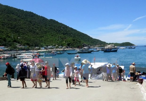 河内市夏天去海边沙滩旅游的游客量呈井喷式增长 hinh anh 1