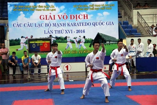 第16届越南全国空手道俱乐部锦标赛正式开赛 hinh anh 1