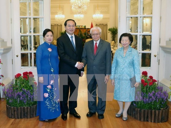 越南国家主席陈大光与新加坡总统陈庆炎举行会谈 hinh anh 1