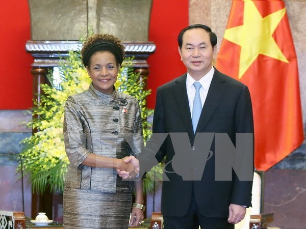 国家主席陈大光：越南高度评价第16届法语国家组织峰会的主题 hinh anh 1