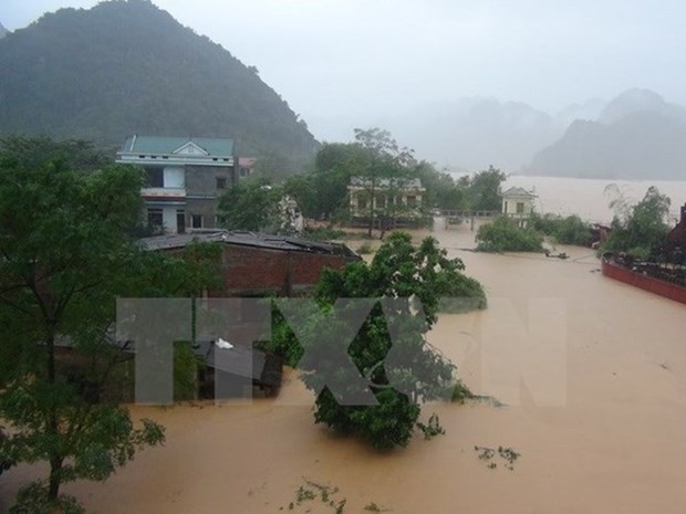 全国为中部地区同胞克服台风造成的损失提供援助 hinh anh 1