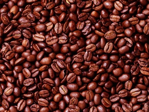 越南对阿尔及利亚的咖啡出口量骤增 hinh anh 1