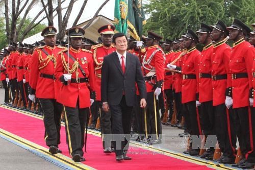 越南国家主席张晋创与坦桑尼亚总统马古富力举行会谈 hinh anh 1