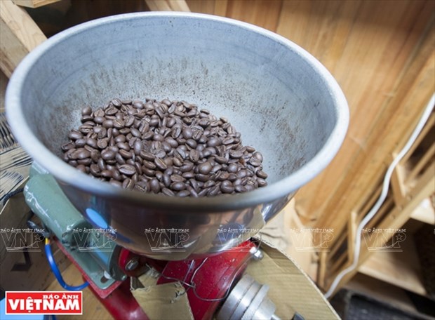 哥霍族人的清洁咖啡品牌“K’Ho Coffee” hinh anh 5