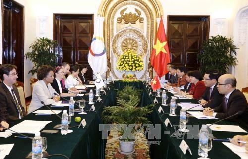 越南政府副总理兼外长范平明与法语国家组织秘书长米夏埃尔·让举行会谈 hinh anh 1