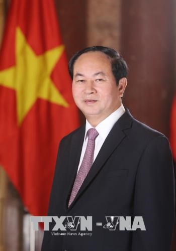 越南国家主席陈大光接受埃塞俄比亚媒体记者的采访 hinh anh 1