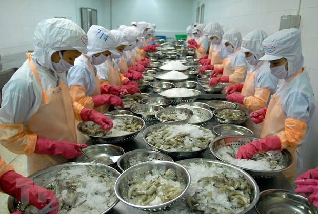 2021年越南虾类出口活动有望出现起色 hinh anh 2