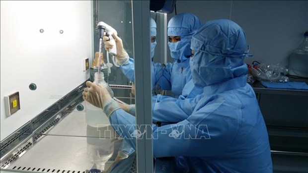 越南逐步自主研制新冠疫苗 hinh anh 1