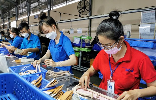 越南改善营商环境 促进经济复苏与增长 hinh anh 1
