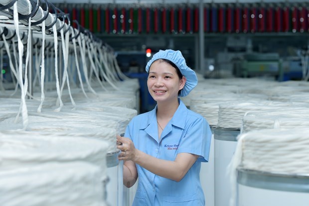 EVFTA--越南纺织服装业大力吸引外资的催化剂 hinh anh 1