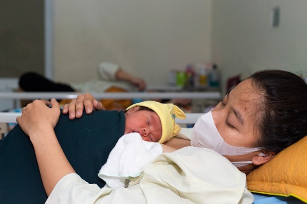 越老柬三国合作促进母乳喂养 hinh anh 1
