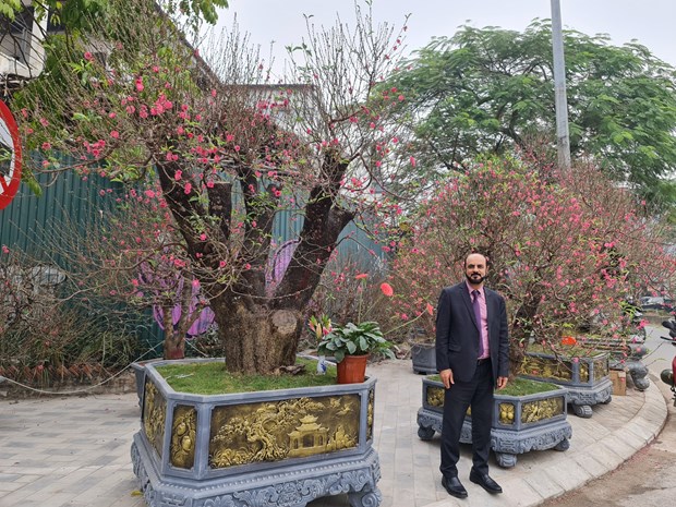 各国大使通过越南传统春节感受越南价值 hinh anh 2