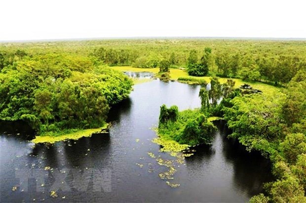越南努力保护湿地生物多样性的“摇篮” hinh anh 1