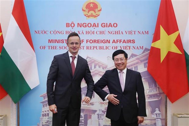 越南与匈牙利两国外长举行会谈 hinh anh 1