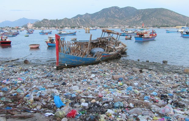减少海洋塑料垃圾：维护越南海洋生态安全 hinh anh 2