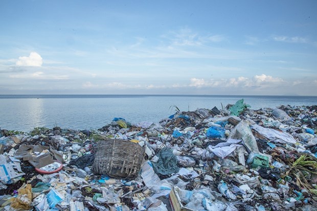 减少海洋塑料垃圾：维护越南海洋生态安全 hinh anh 3