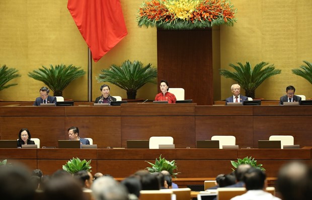 越南国会——最高国家权力机关和人民最高代表机构 hinh anh 2