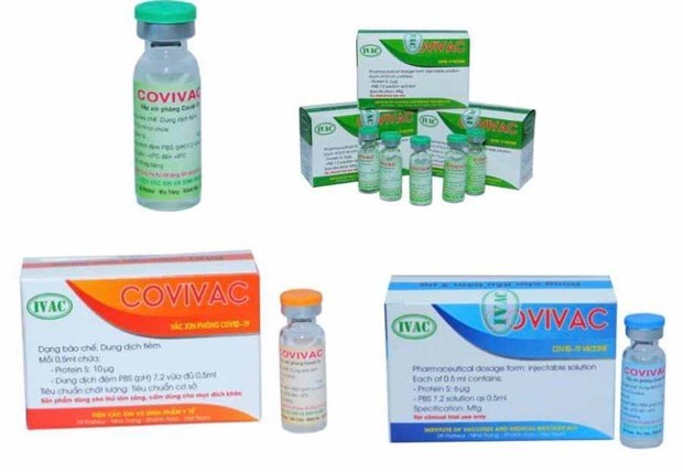 越南COVIVAC疫苗：在3个国家的研究结果均安全有效 hinh anh 1