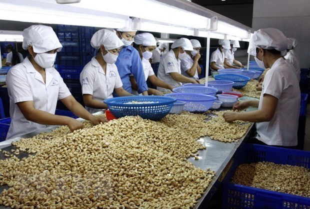 《越南与欧亚经济联盟自由贸易协定》：增加越南农产品出口的机会 hinh anh 1