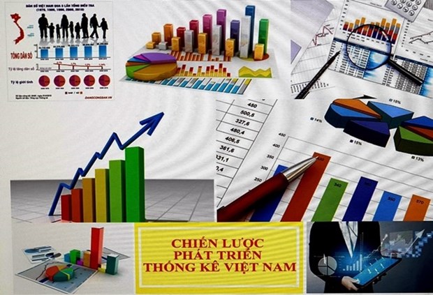 《越南统计发展战略》实施计划提出9项任务和解决方案 hinh anh 1